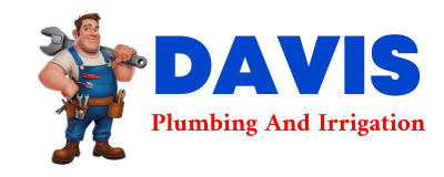 Trusted plumber in BUENA