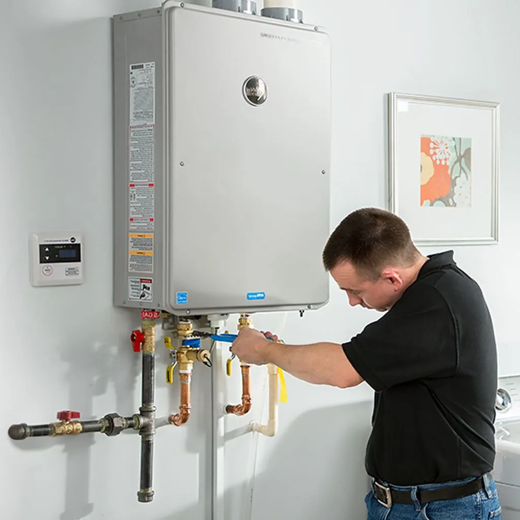 tankless water heater repair in Buena, WA